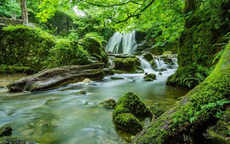 高端高效智能化